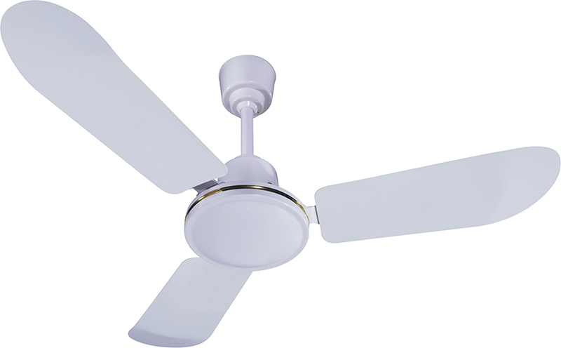 Electric Fan5.jpg